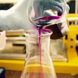 Beekers in lab